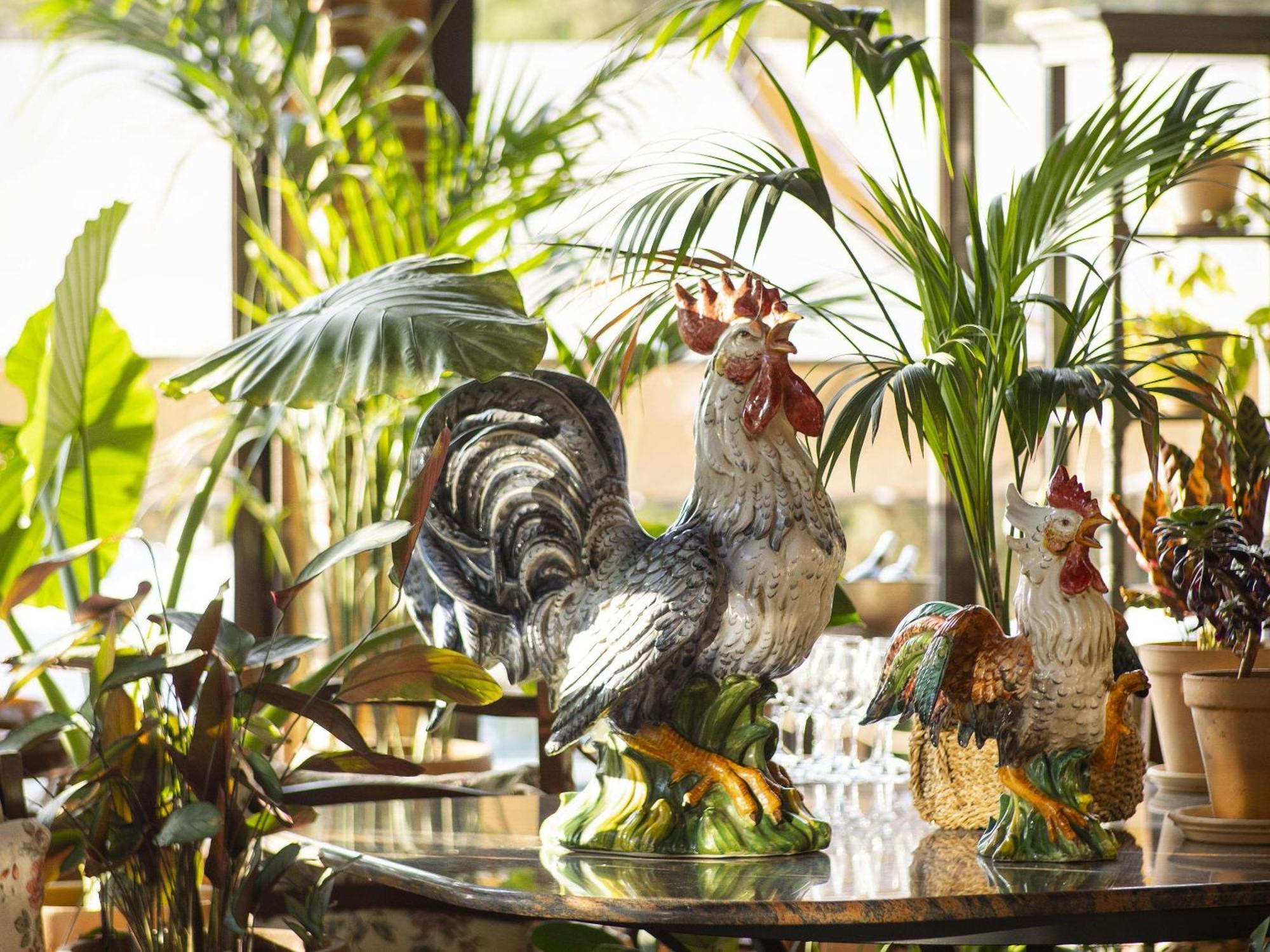 Hotel Grecotel Luxme Costa Botanica